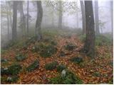 Spodnje Stranice (graves of hundred hostages) - Stolpnik